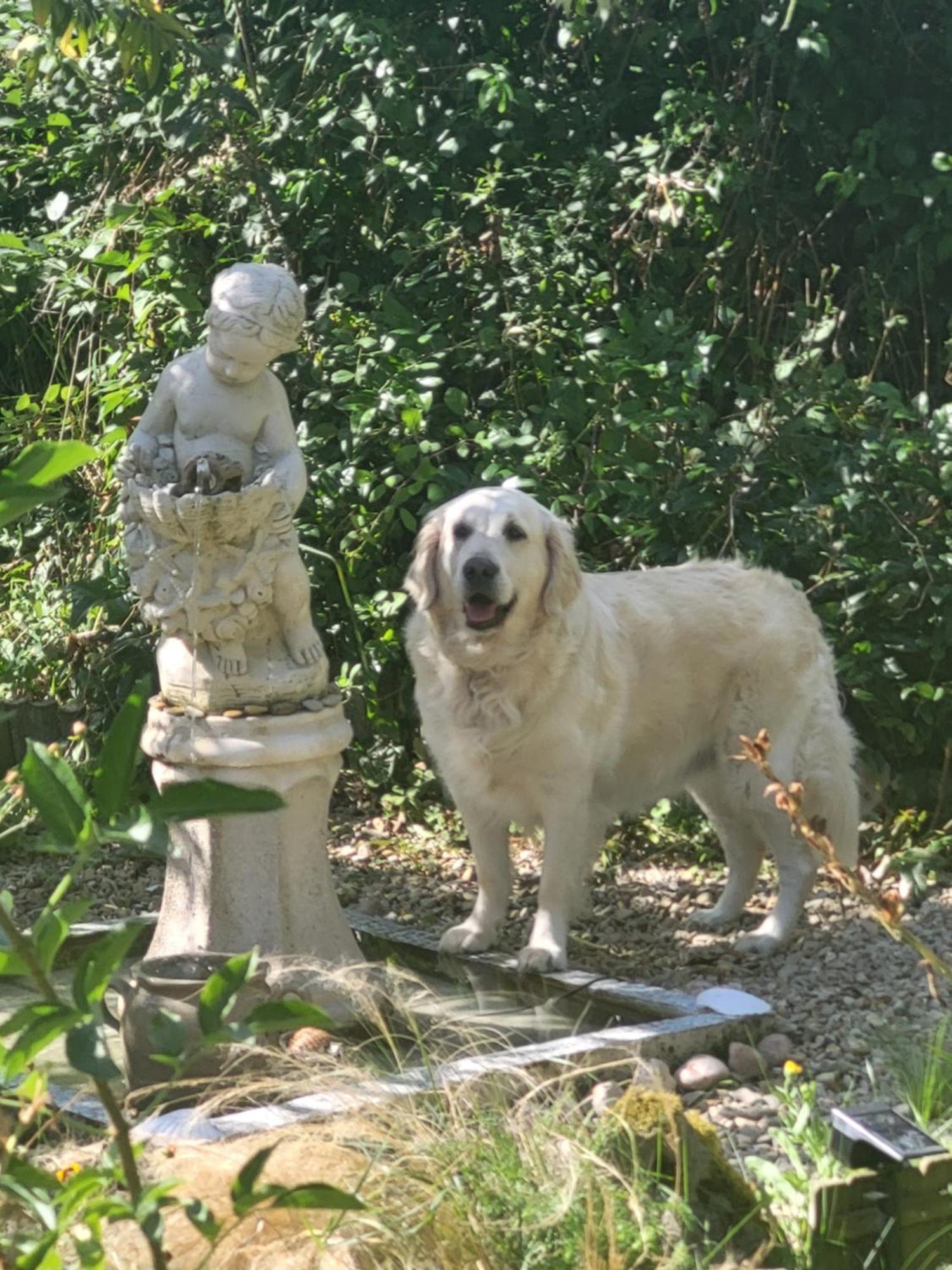 Le Vieil Hermitage Ervauville 外观 照片